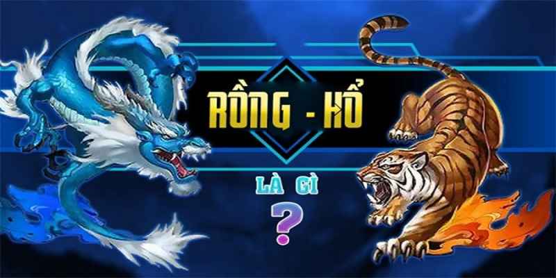 Sơ lược về tựa game rồng hổ tại sảnh cược 009bet